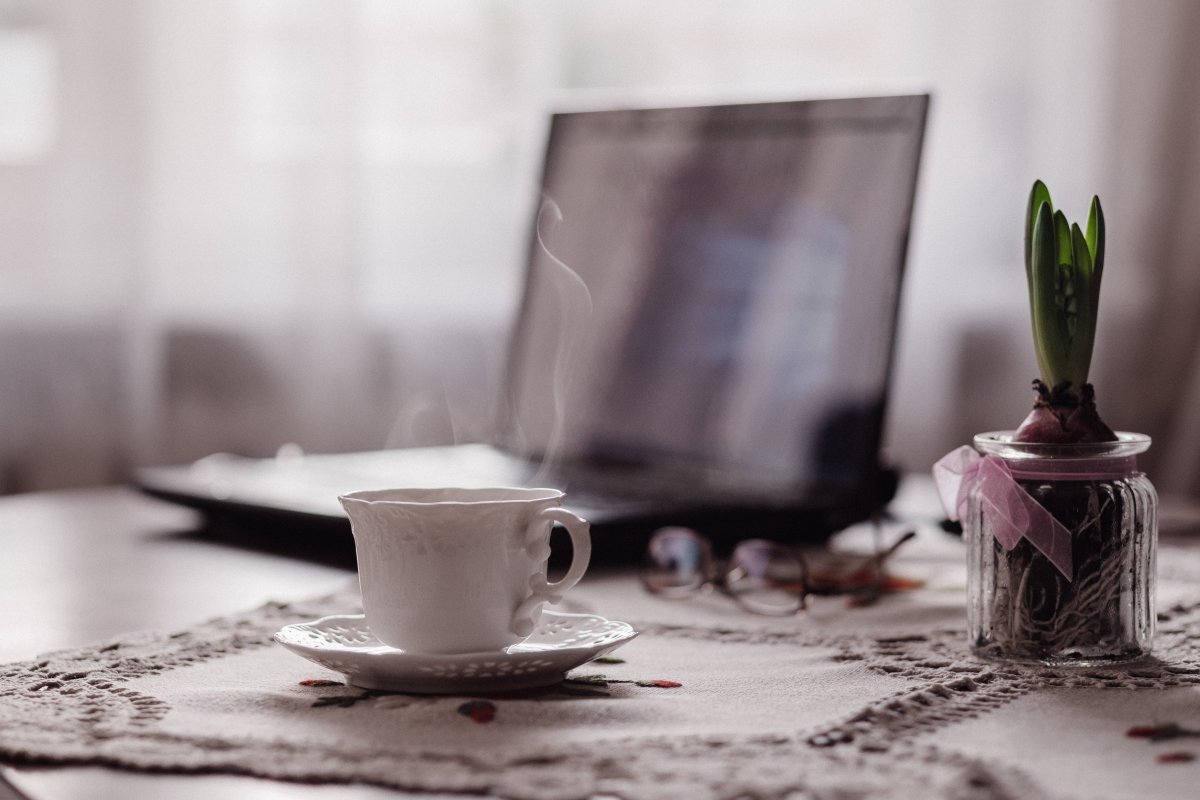 A Laptop with a coffee cup on a saucer and a plant on a table